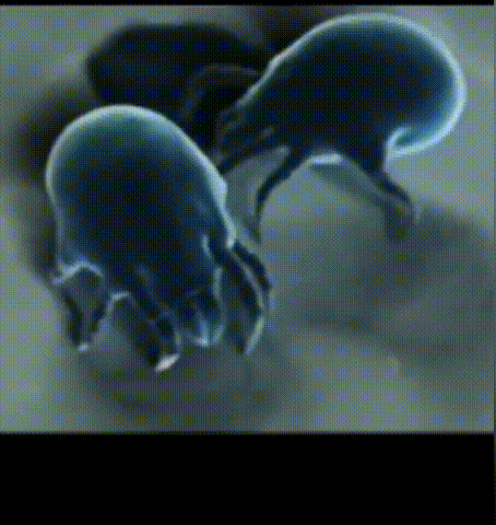 1755041018131185.gif